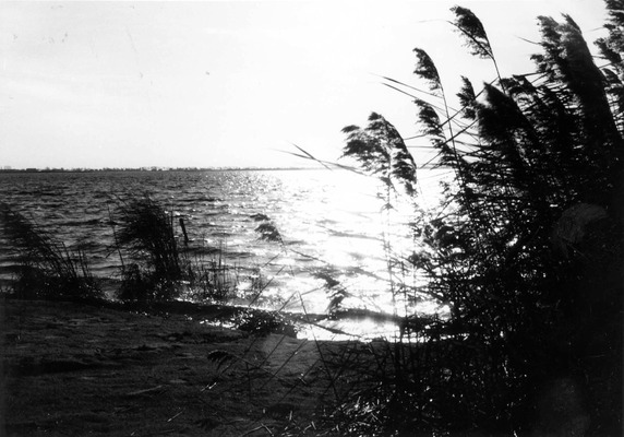 Rand van het Zuidlaardermeer.