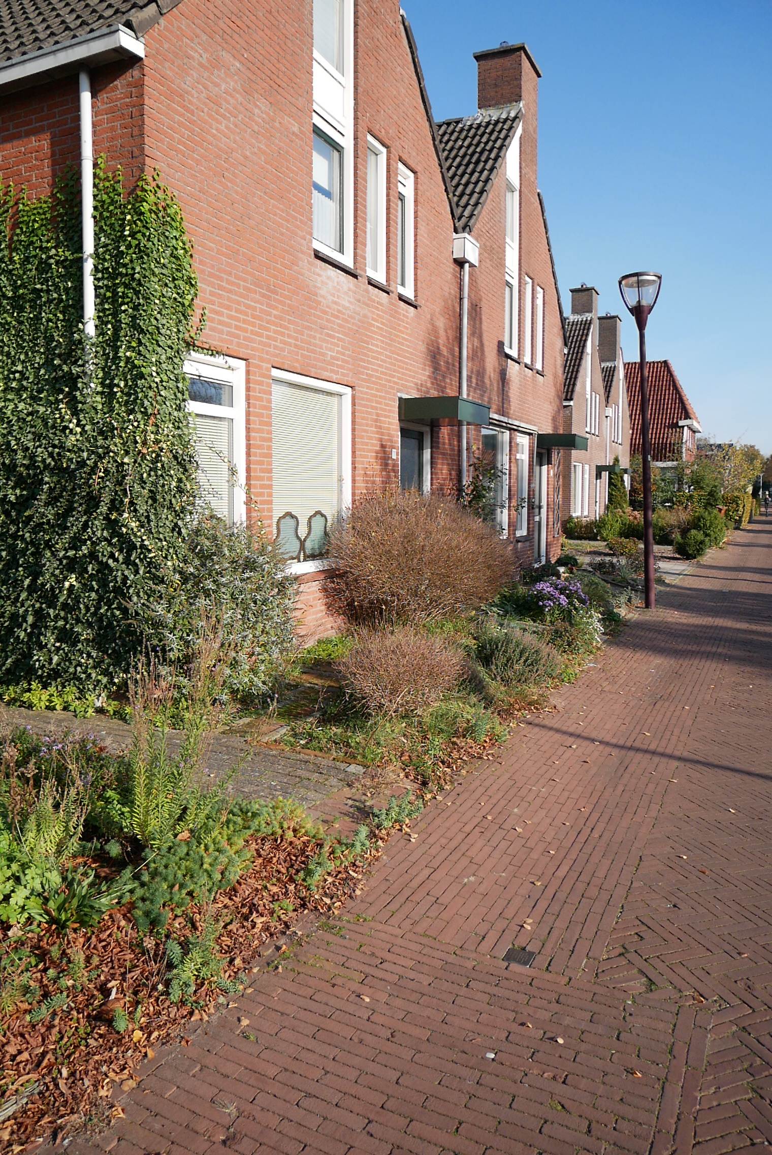 Straat in Muntendam met struikelstenen in de stoep voor de huizen.