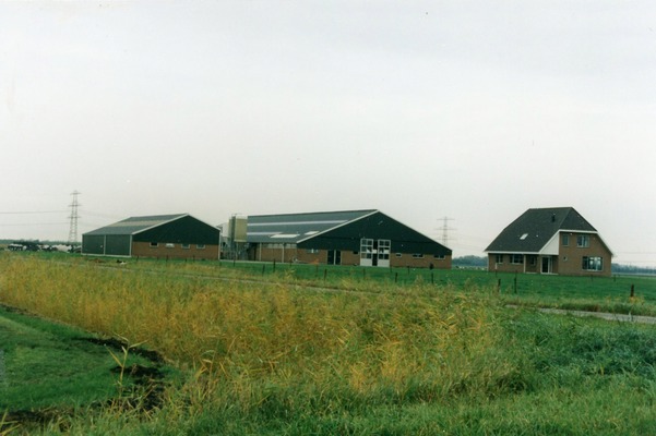 De melkveehouderij van N. Vieveen